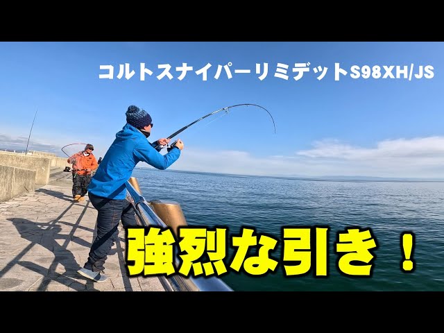 すごいズンとくる！超小粒！タイチンルチル！サシすごい！ 11月23日（日）受注締切！】SMP ゴルソドラン トライ品レビュー