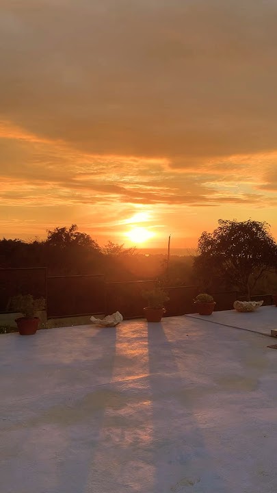 Sunset is life 😎#sunset#view #swimming #trending #trendingshorts - YouTube