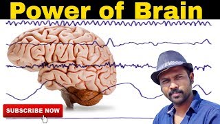 How to activate your brain power in Tamil | Motivational Esh Vlogs