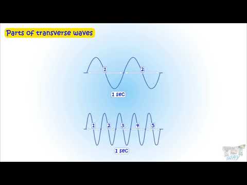sound-(part-2)|transverse-and-longitudinal-waves-|-science-|-grade-4-|-tutway-|