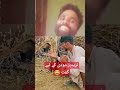 نریندر مودی اور ایک گائے کی کہانی 😂😂😂😂😂 #funny #trending #duet #laughing #modi #pakistanireaction
