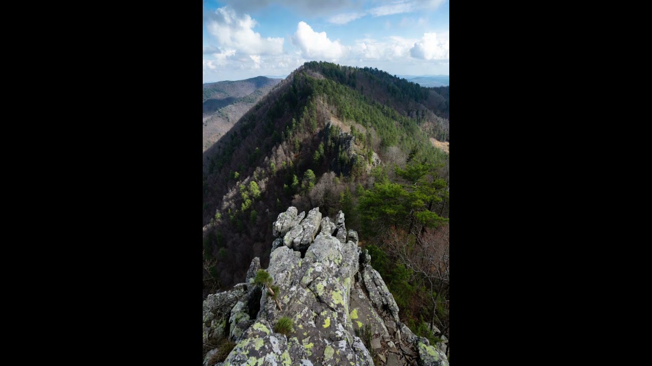 King of Glory - Psalm 24 A.I. Worship