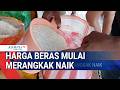 Harga Beras Mulai Merangkak Naik