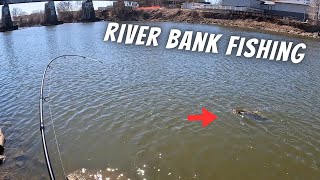 Early Spring Walleye and Wiper Fishing Along a Rocky River Bank (9 Species Caught)