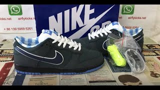 Nike SB Dunk Low Concepts Blue Lobster Review