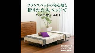 フランスベッド パンテオン401 【完全保存版】 | フランスベッド