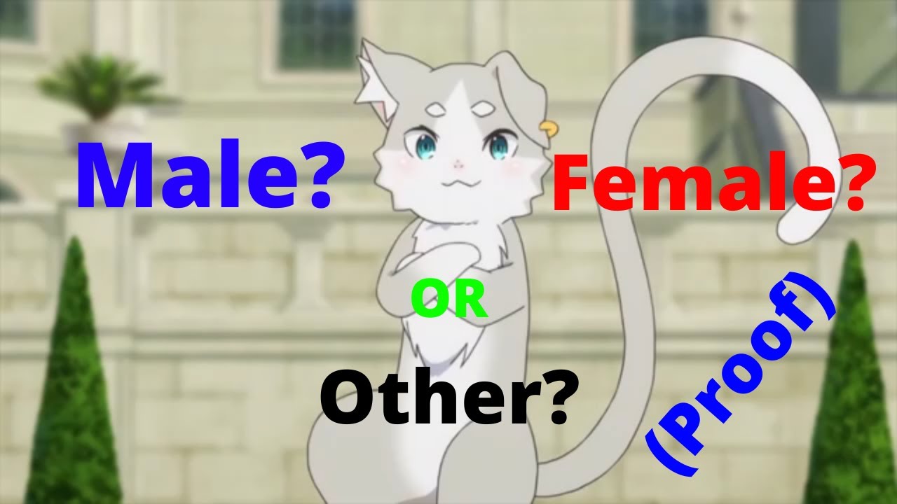 What Gender Is Puck Re Zero Youtube