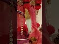 # janmastmi