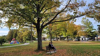 Happy fall - idays to Wisconsin 🙂