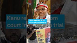 Celebrity Nnamdi Kanu removed from court in terrorism trial Net Worth