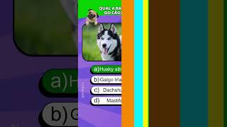 Qual é a raça desses cachorros? #quiz #cachorro screenshot 4