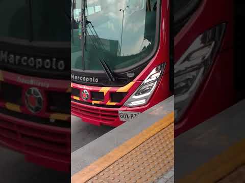 Movimiento de buses #2 portal 80