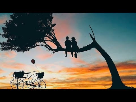 WhatsApp Status|True? Love ?|Romantic ? Status|Goals? Couple ?