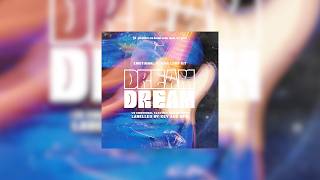 (+20) "DREAM" EMOTIONAL ELECTRIC GUITAR LOOP/SAMPLE KIT | 2026