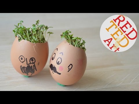 Video: Making Cress Heads With Kids: How To Grow A Cress Head Egg