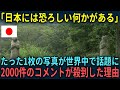 【海外の反応】「日本には恐ろしい何かがある」日本の異様さを映すたった1枚の写真が世界中で話題になった理由【総集編】