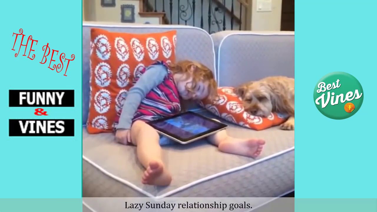 Top 200 Highlights of Animals on Vine   FUNNY Animals 15