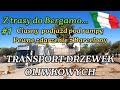 TRANSPORT DRZEWEK OLIWKOWYCH/Z TRASY DO BERGAMO #1/KIEROWCA ZAWODOWY