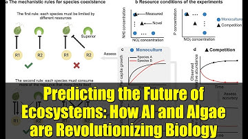 Predicting the Future of Ecosystems: How AI and Algae are Revolutionizing Biology