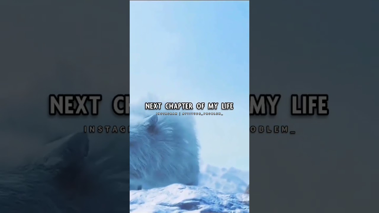 wolf attitude whatsapp status 