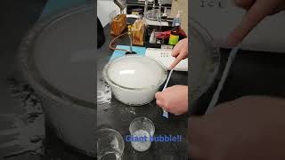 Dry Ice, hot water and detergent mixture= giant bubble!