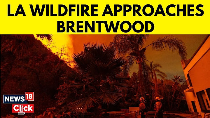 Los Angeles Wildfire: Death Toll Rises To 16 As Palisades Fire Expands East To Brentwood | N18G