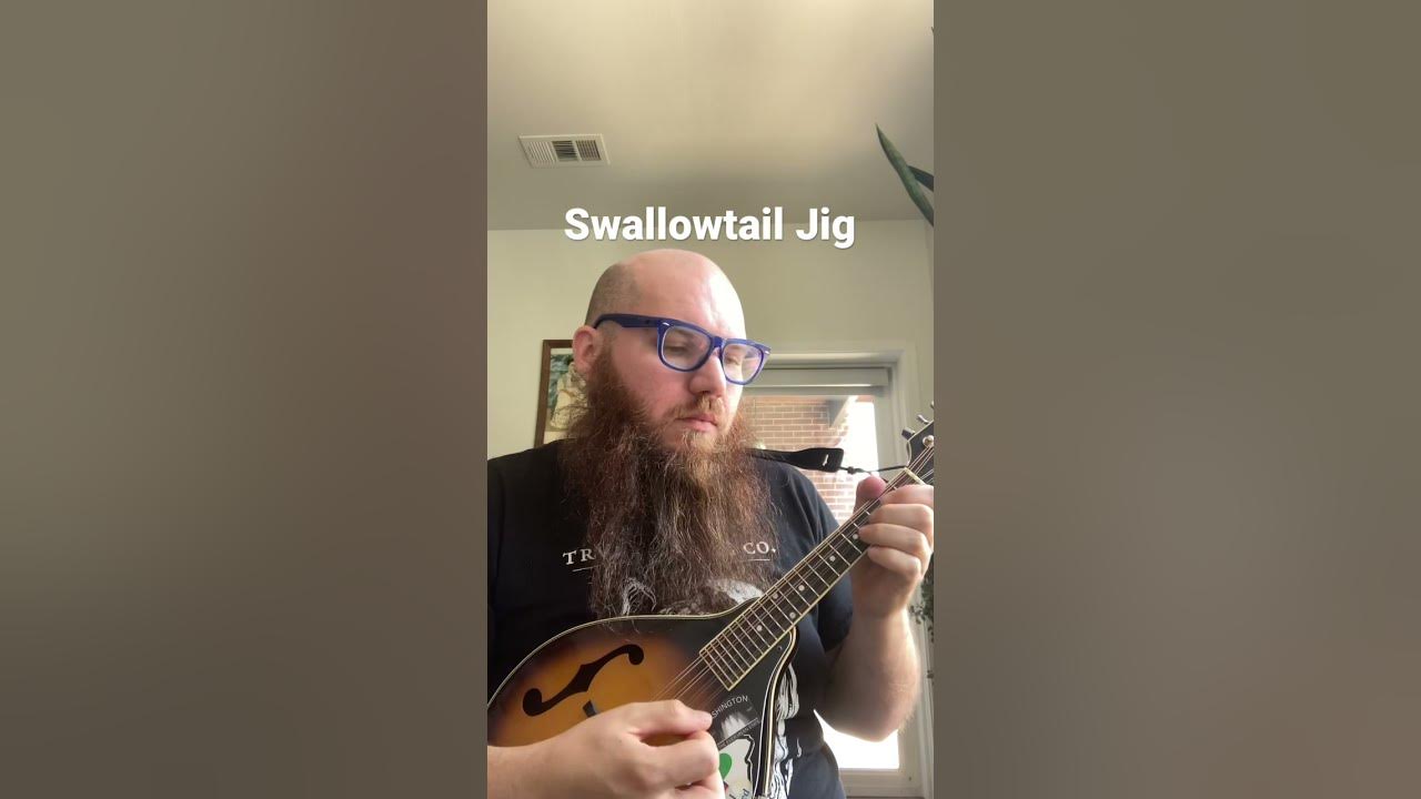 Swallowtail Jig on Mandolin #shorts