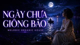 Ngày Chưa Giông Bão | Melodic Organic House Rework | Emotional Vietnamese Electronic