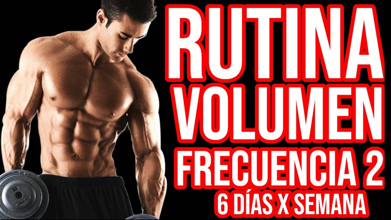 Rutina Gym 6 Dias 💪 Rutina de Entrenamiento FRECUENCIA 2 para entrenar 6 DÍAS por SEMANA -  YouTube