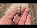 Metal detecting the silver fields of southern Louisiana #41 LaRelicHunter