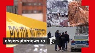 Minorii Care Şi-Au Ucis Colegul De 15 Ani Au Tăiat O Găină Ca Să Justifice Urmele De Sânge