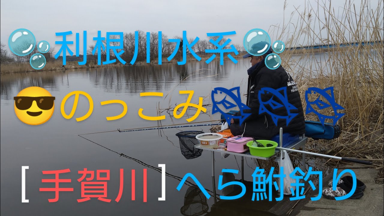 ⚡【利根川水系】手賀川『のっこみ』へら鮒「NO1」🐟