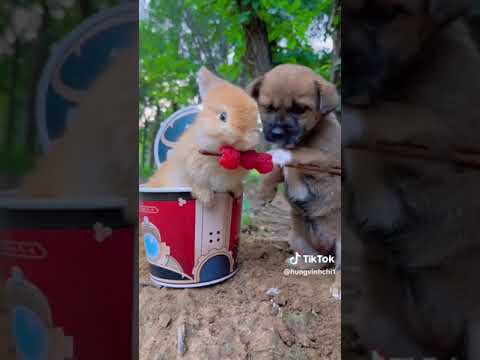 ٦ أكتوبر ٢٠٢٣ ٦ أكتوبر ٢٠٢٣