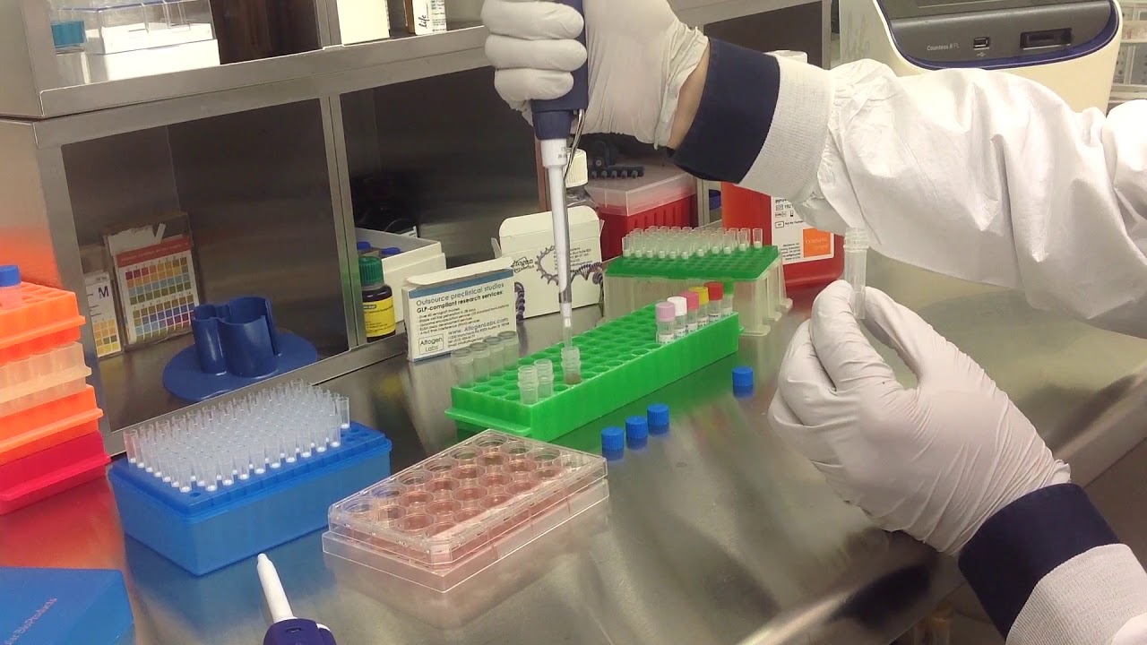 Altogen Biosystems In Vitro CHO Transfection Tutorial - YouTube