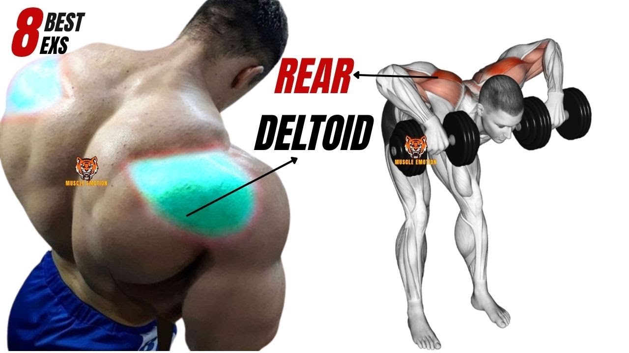 8 BEST REAR DELTOID EXERCISES AT GYM - YouTube