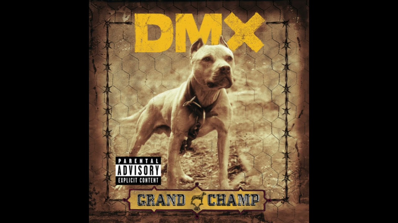 DMX - Dog's Out