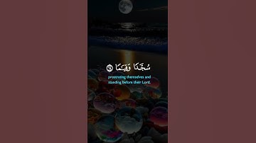 #اكسبلور #keşfet #duet #دويتو #لايك #حالات_واتس #تيك_توك #love #فولو #راحة_نفسية #قران_كريم #تلاوات
