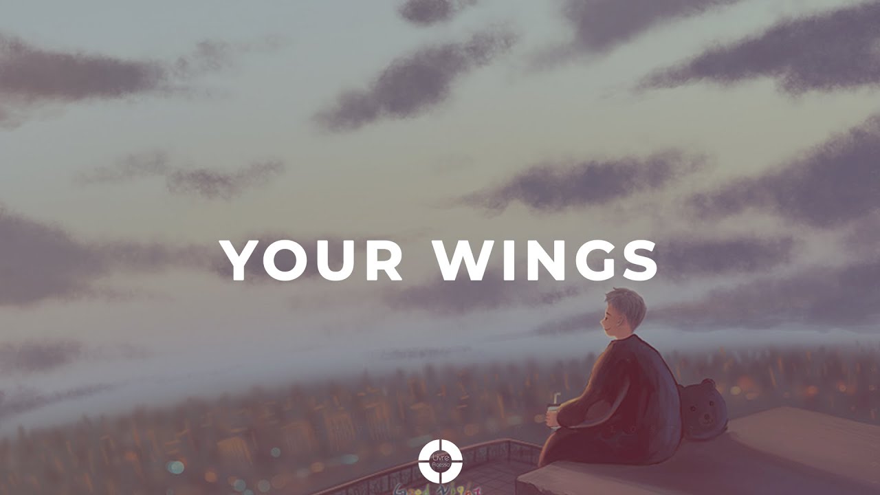 Your Wings and Mine – Dianxia Traduções