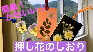 超簡単！短時間でできる！　★　押し花でしおりを作ろう♪