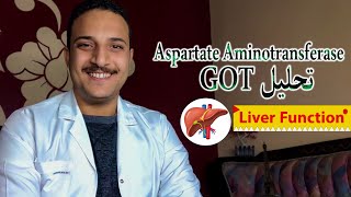 تحليل GOT ( AST ) و النسبة الطبيعيه و اسباب ارتفاع Aspartate aminotransferase فى الدم ،انزيمات الكبد