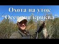 Охота на уток - Осенняя кряква