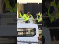Pandas gigantes llegan a Atlanta, donde vivirán por 10 años | Telemundo 39