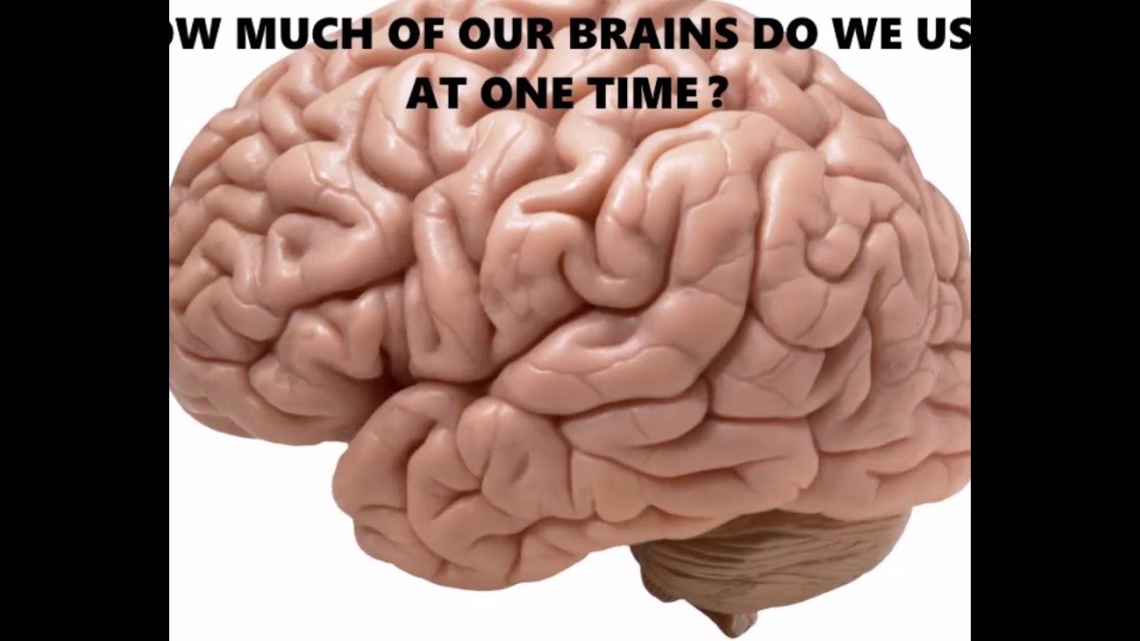How Much Of Our Brains Do We Use At One Time? YouTube
