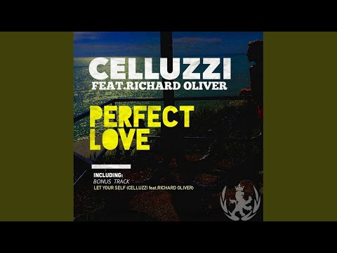 Richard Oliver — Perfect Love (Original Mix)