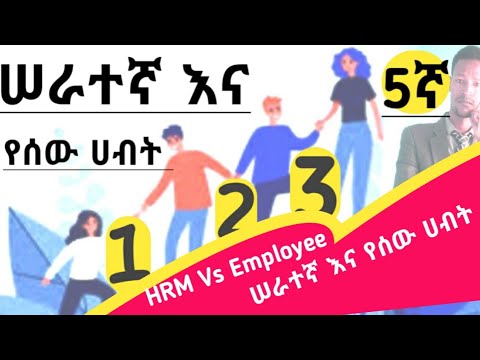 ቪዲዮ: የአስተዳደር ማማከር ጽንሰ-ሀሳብ፣ ፍቺ፣ አይነቶች፣ አቅጣጫዎች እና የእድገት ደረጃዎች