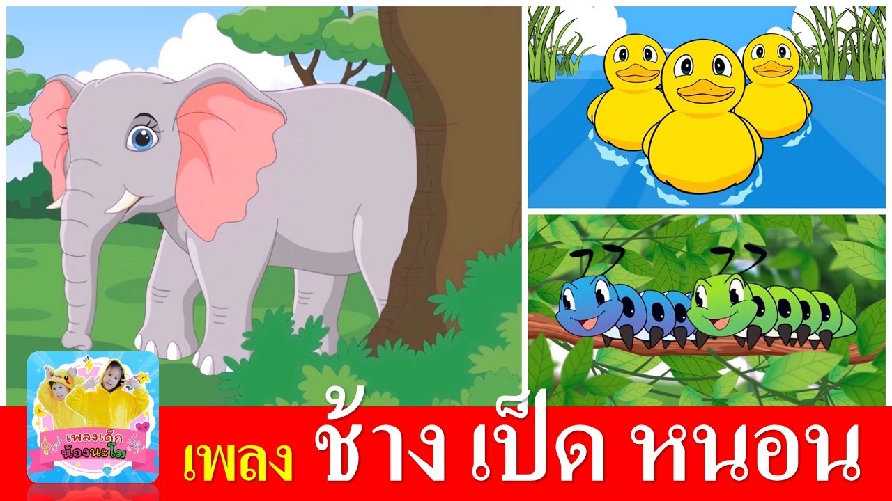 เพลงเด็กในตำนาน ช้าง เป็ด หนอน | ช้างช้างช้าง | เป็ดก้าบก้าบ | หนอนต้วมเตี้ยม
