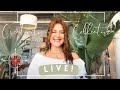 Creativity Collective Live with Susan Lenart! Getting to Your Origin Story for Your Personal Work