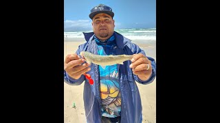 False Bay Fishing | Power Rangers Comp 2 | Mnandi |