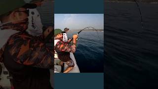 Amberjack ... #jigging #balıkavı #speedjig #fishing