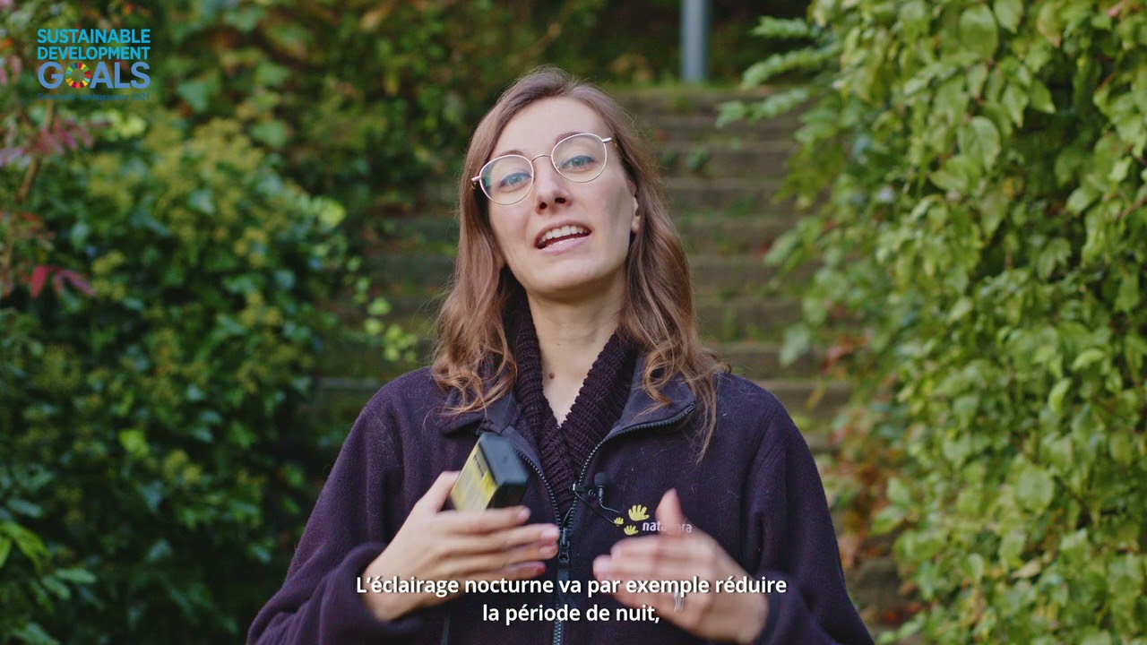 Reportage Synergrid biodiversité